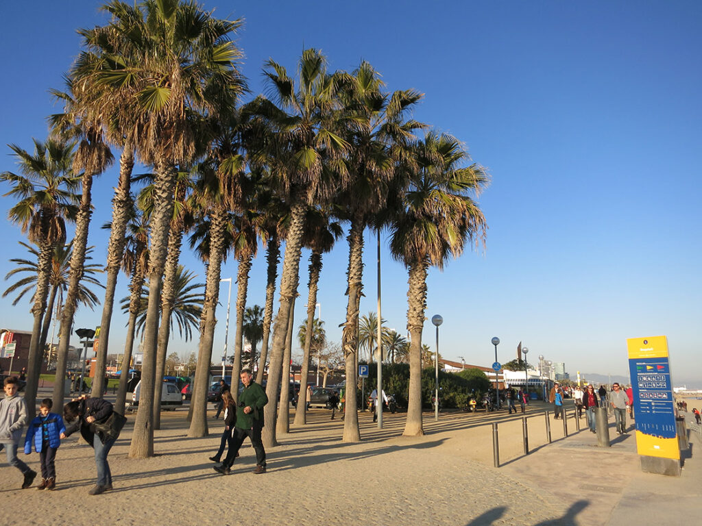 Lekker uitwaaien met kerst op het strand in Barcelona