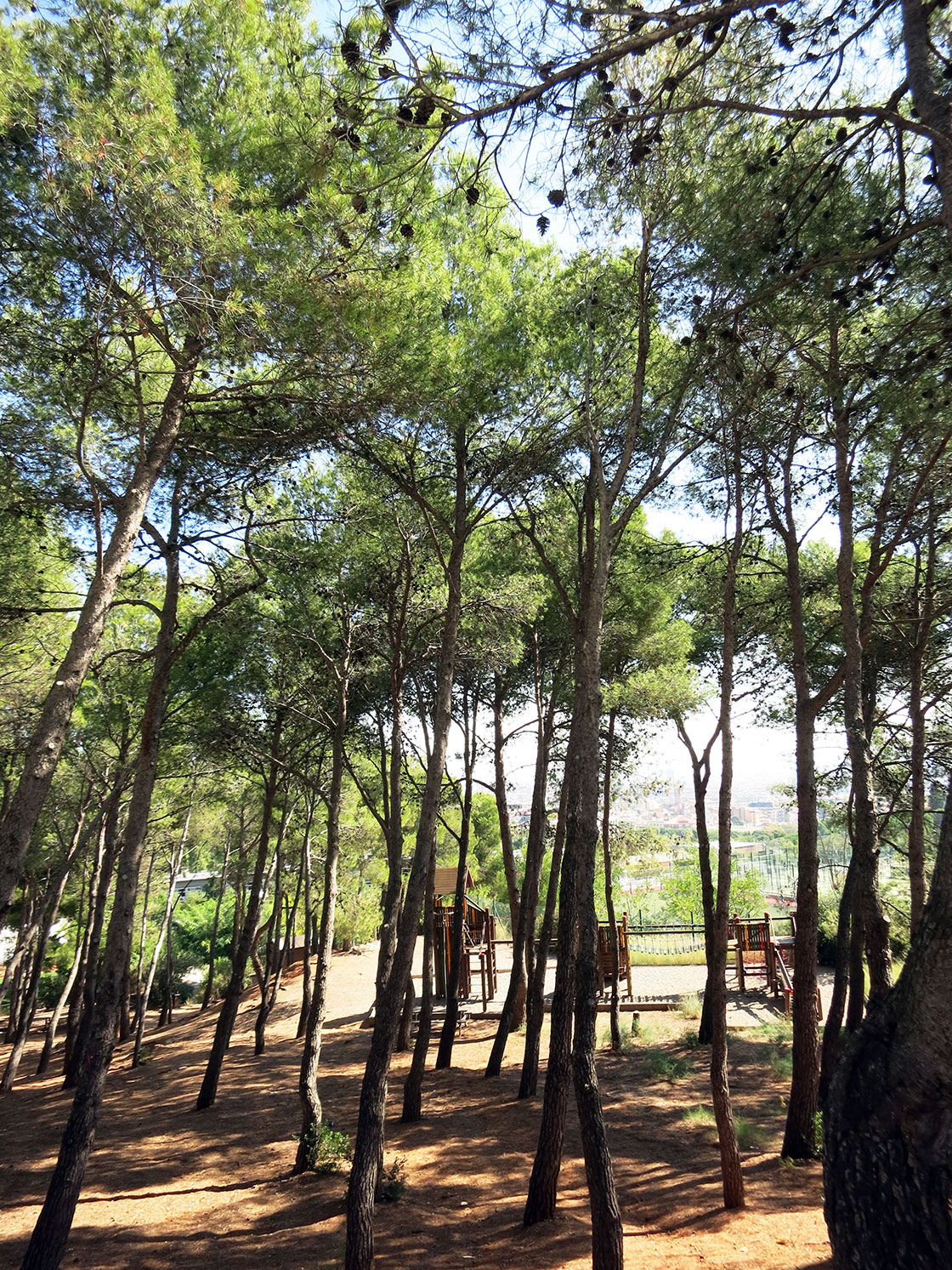 Parc de l'Oreneta in Barcelona