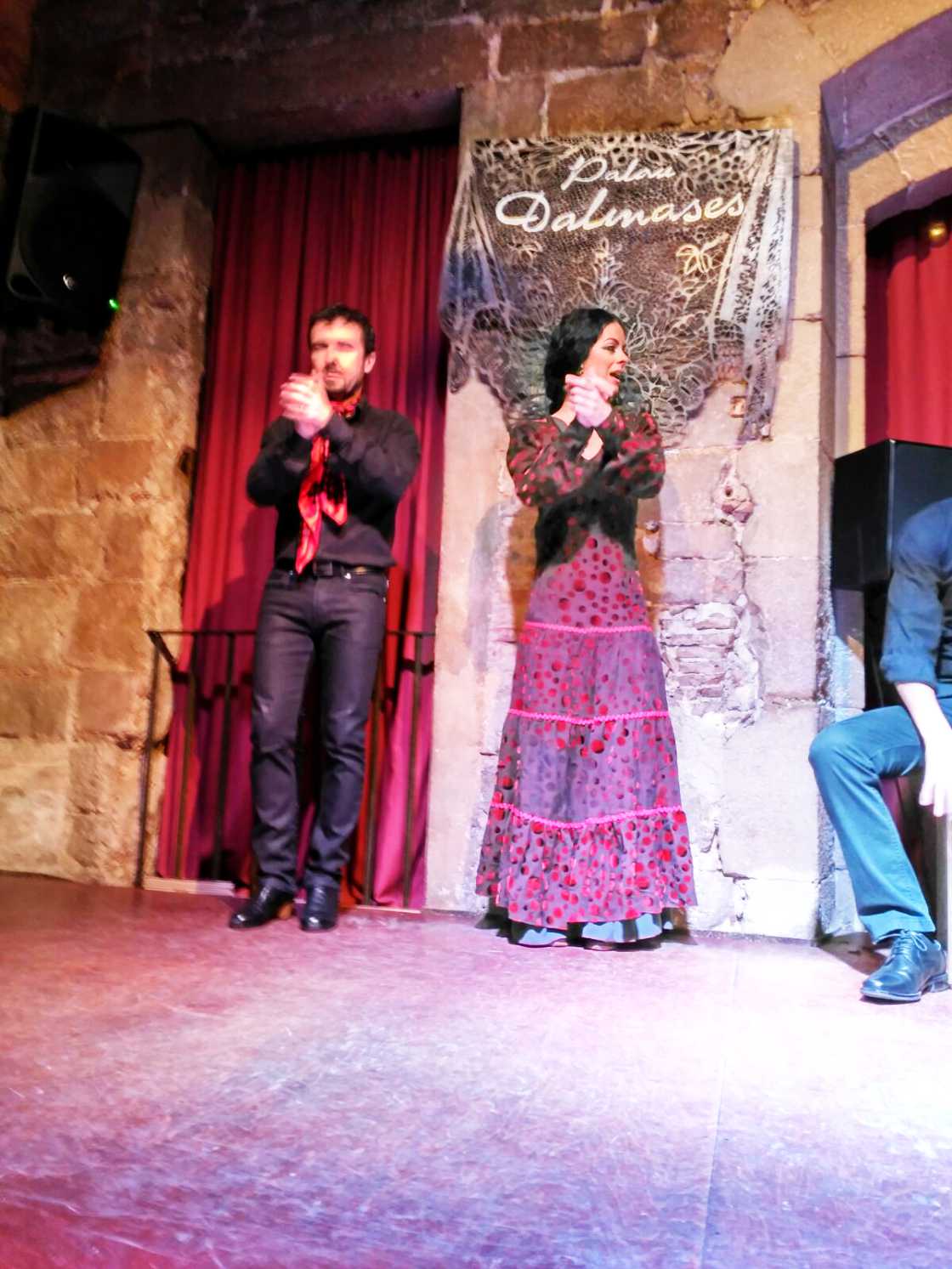 Flamenco voorstelling Barcelona - Palau Dalmases