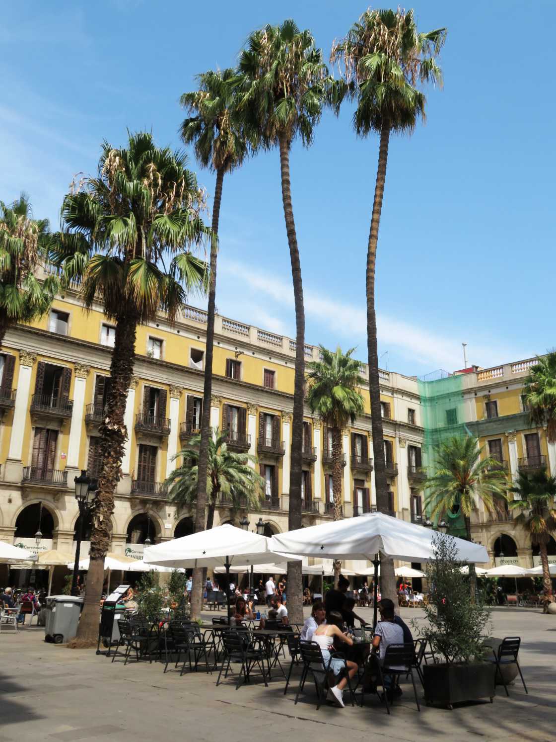 Terrassen Plaça Reial Barcelona