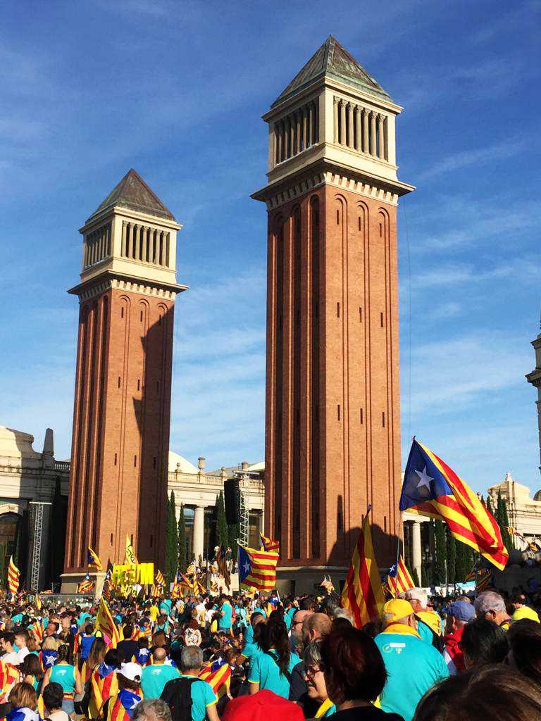 Protestmars voor onafhankelijkheid tijdens La Diada in Barcelona