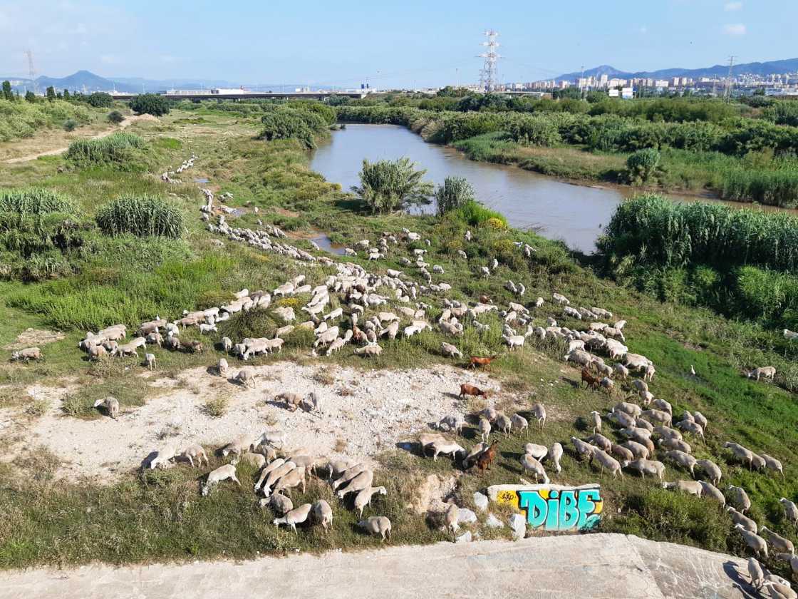 Parc del Riu Llobregat