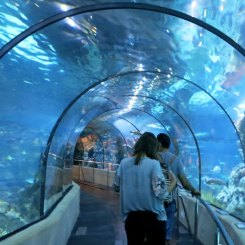 Het Aquarium van Barcelona is super leuk met kinderen.