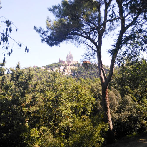 Barcelona zit vol met mooie stadsparken en natuurgebieden.