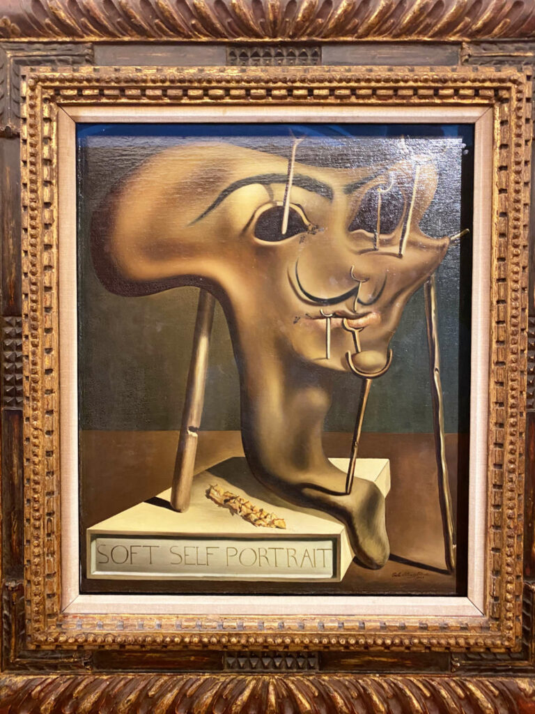 Salvador Dali kunstwerk